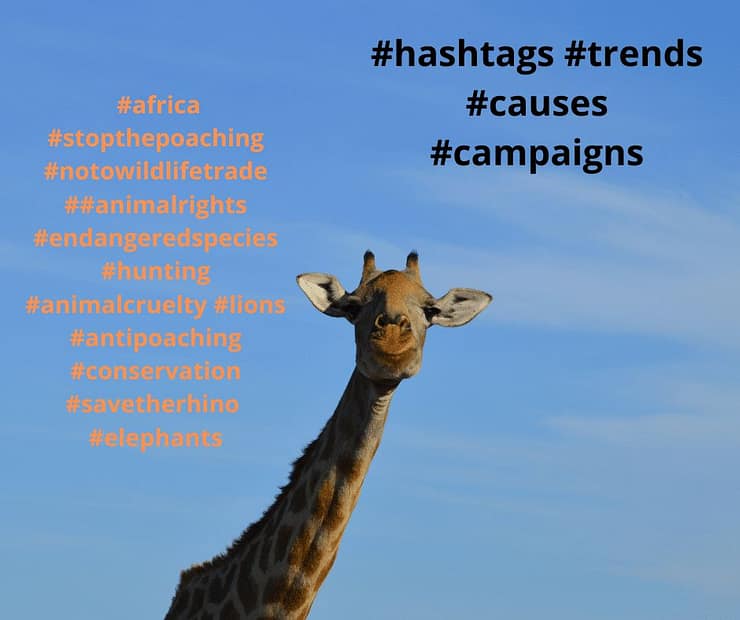 celebrity campaigns