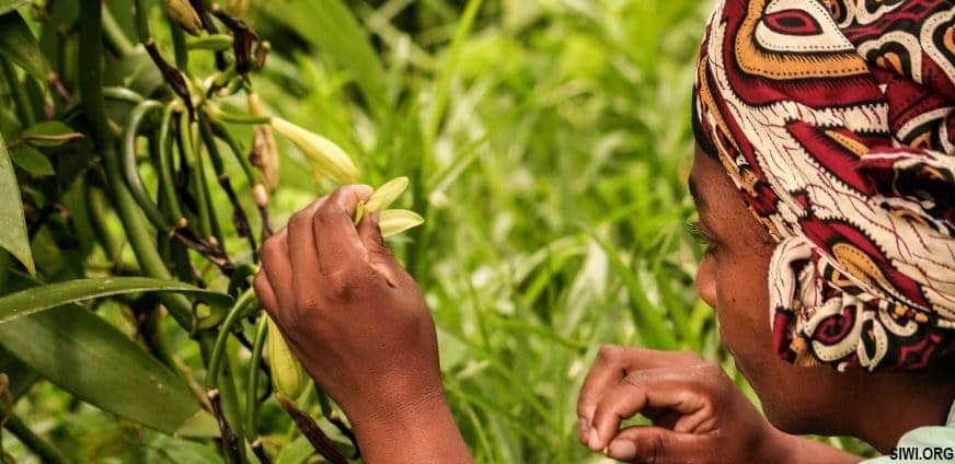 NATURE BASED SOLUTIONS
