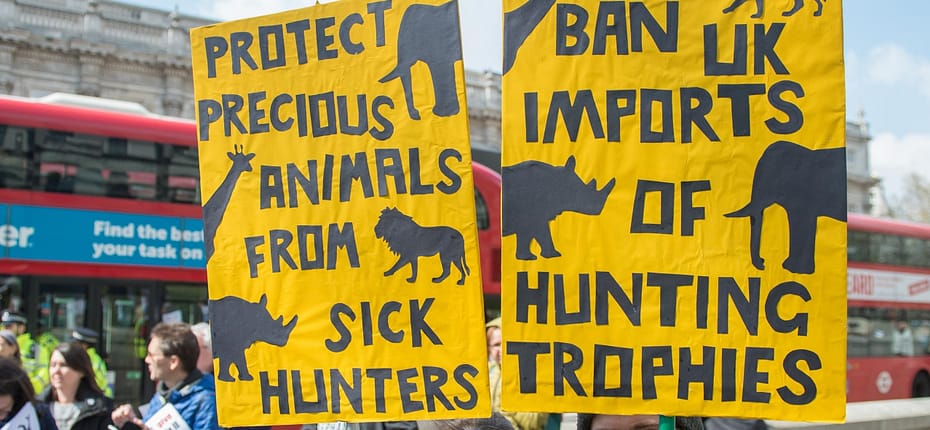 hunting trophies