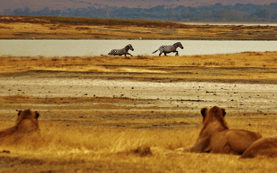 community conservation