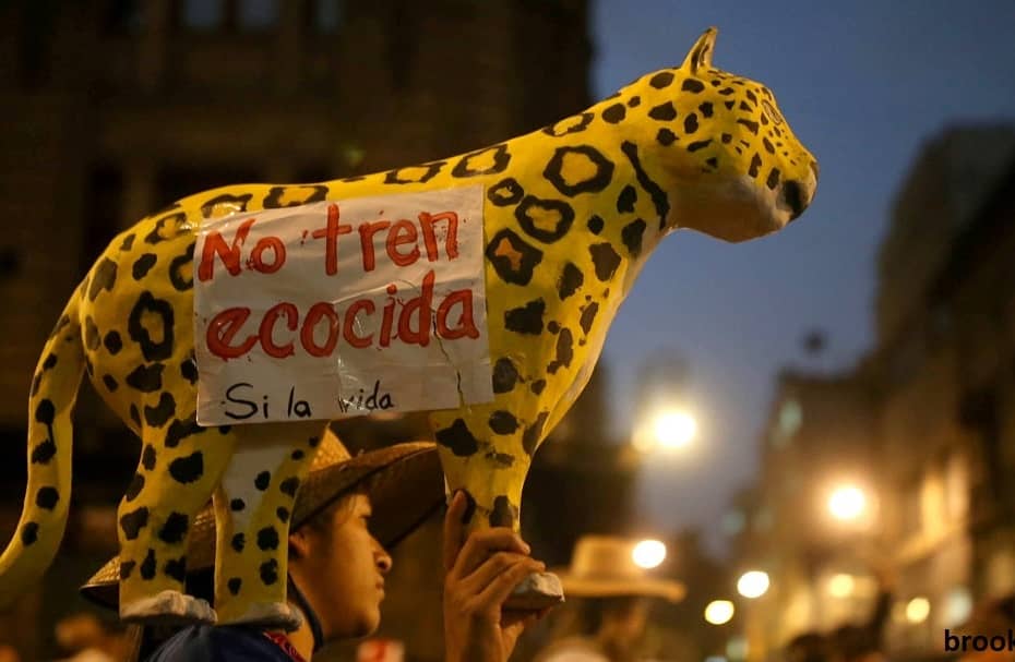 mexico wildlife coronavirus