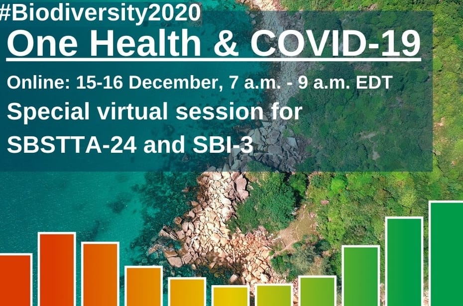 CBD virtual session under the theme "Biodiversity, One Health and responses to COVID19