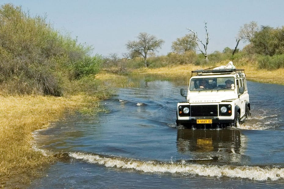Namibian wildlife conservation