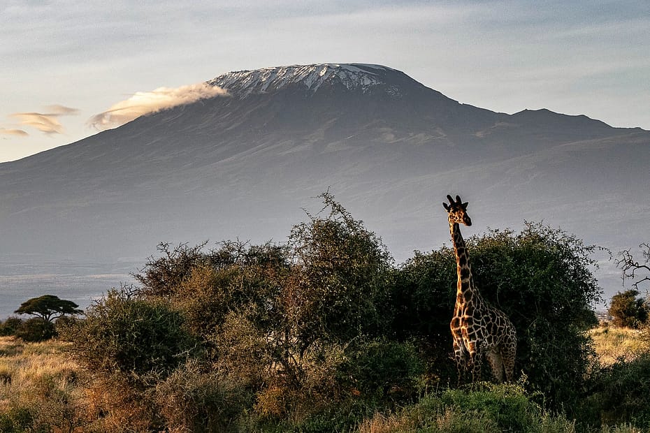 Covid-19 Kenya