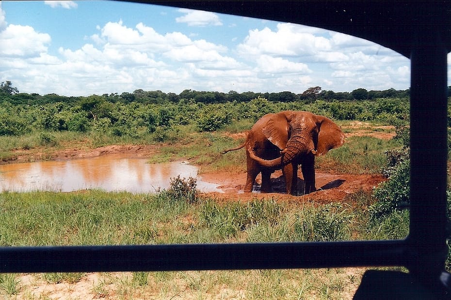 non-consumptive tourism