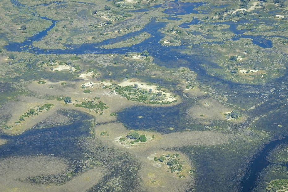 community centred conservation