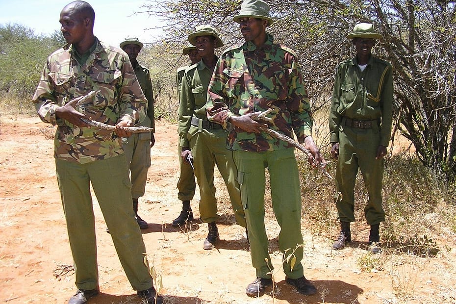 African conservation