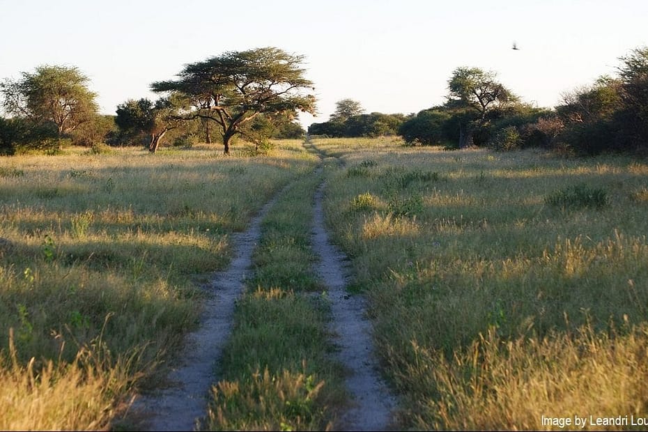conservation in Africa