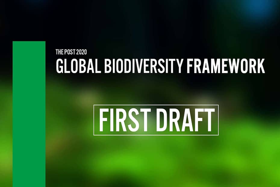 global biodiversity framework