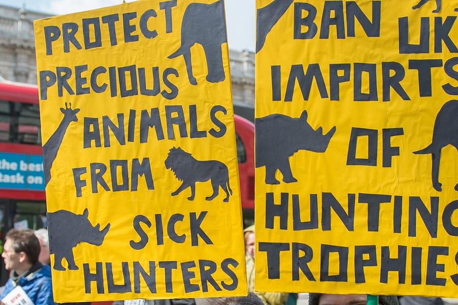 hunting trophies