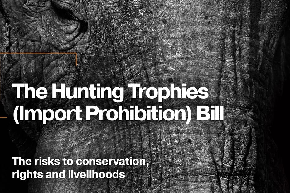 Hunting Trophies Bill report cover