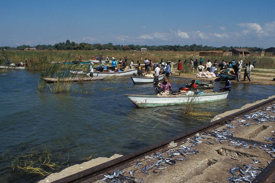 Fishing boats putting out from a shore.
