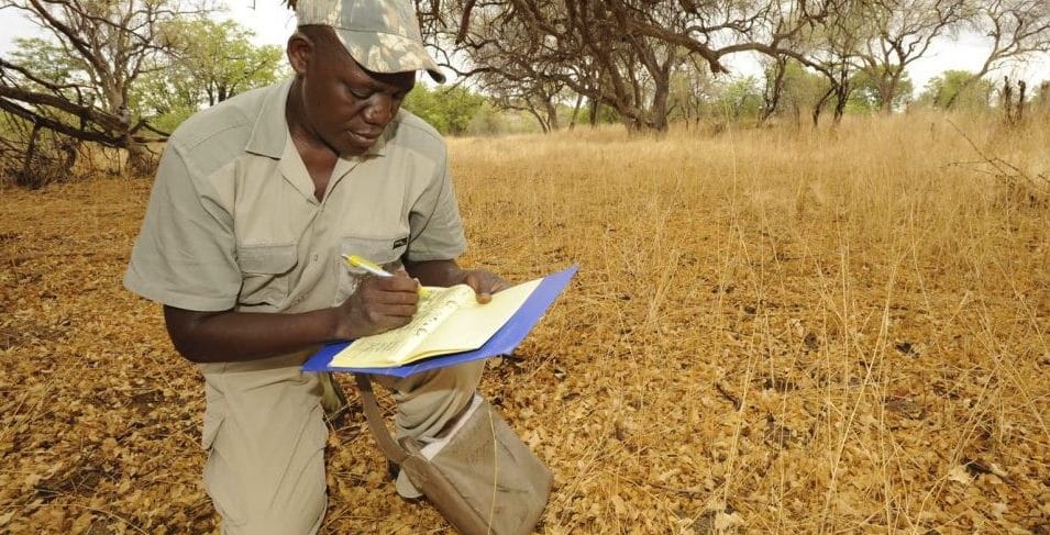 A Namibian game guard filling in his event book.