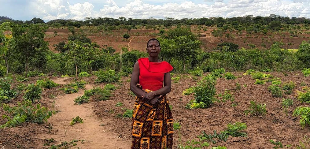 A woman stands facing the camera amongst her soya crops near Kasungu, Malawi.