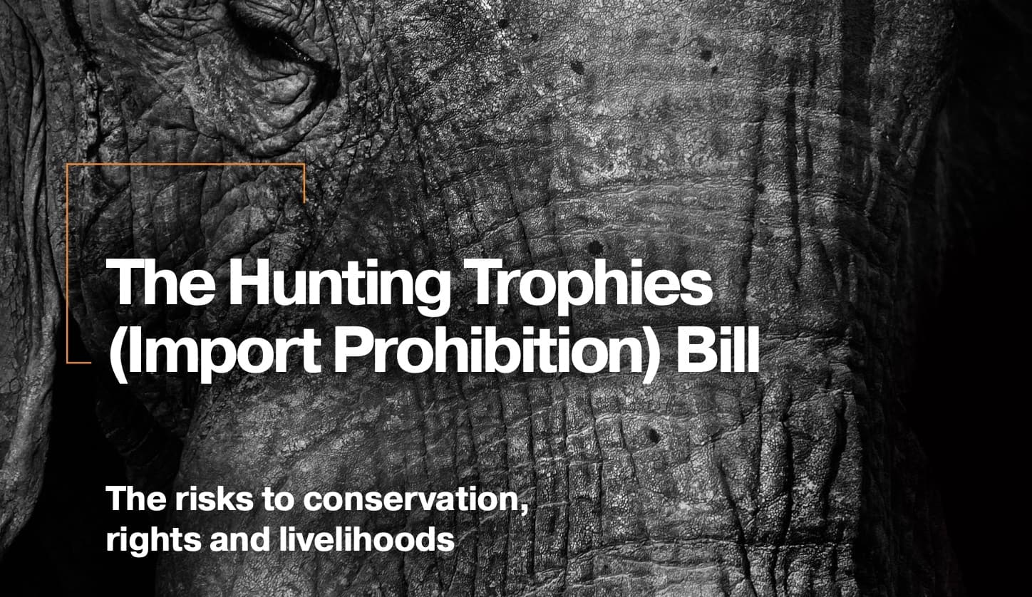 Policy Brief: The Hunting Trophies (Import Prohibition) Bill