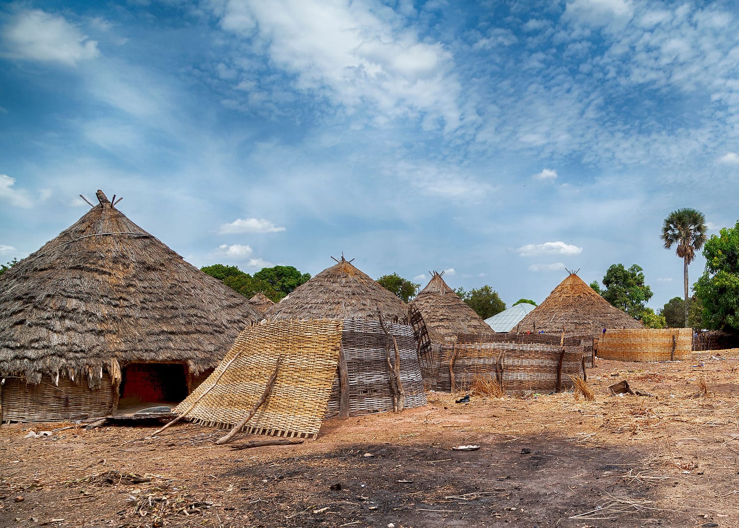 A row of traditional thatched African huts