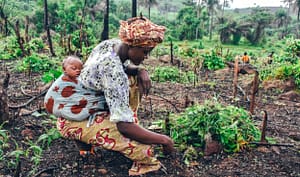 A woman gardens with a child strapped to her back.