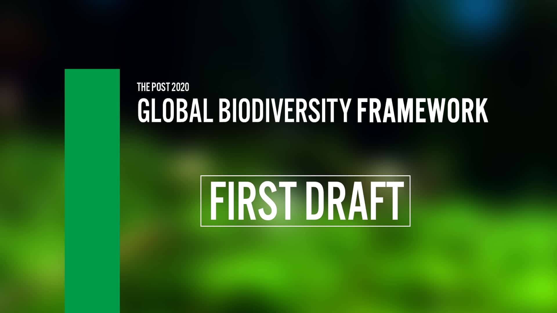 global biodiversity framework